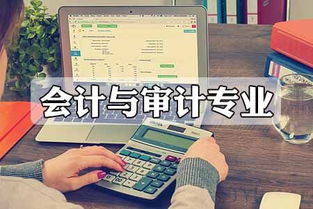 會計與審計專業(yè)競爭態(tài)勢分析 審計及稅務(wù)服務(wù)領(lǐng)域的角逐